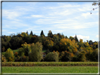 foto Paesaggi Autunnali tra le colline Fontesi